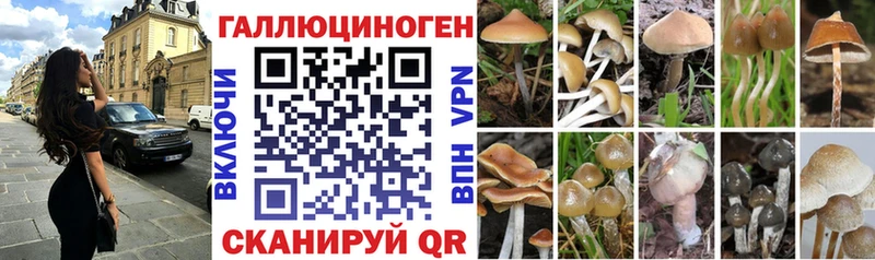Галлюциногенные грибы мицелий  Узловая 