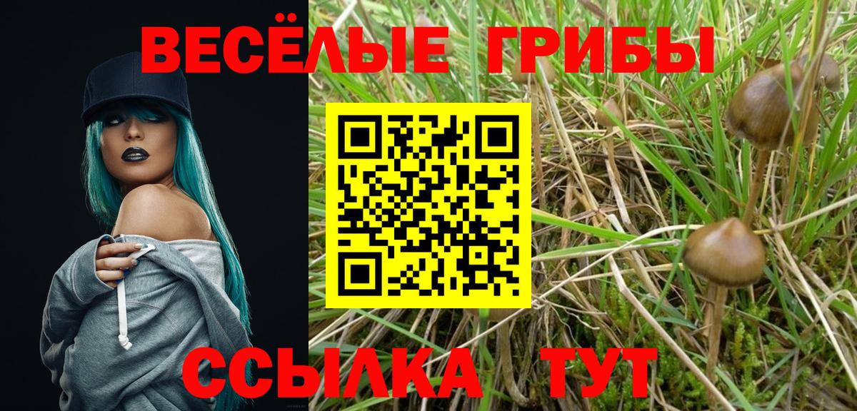 Узловая  цена наркотик  Псилоцибиновые грибы ЛСД  Вход с VPN  Галлюциногенные грибы Cubensis 