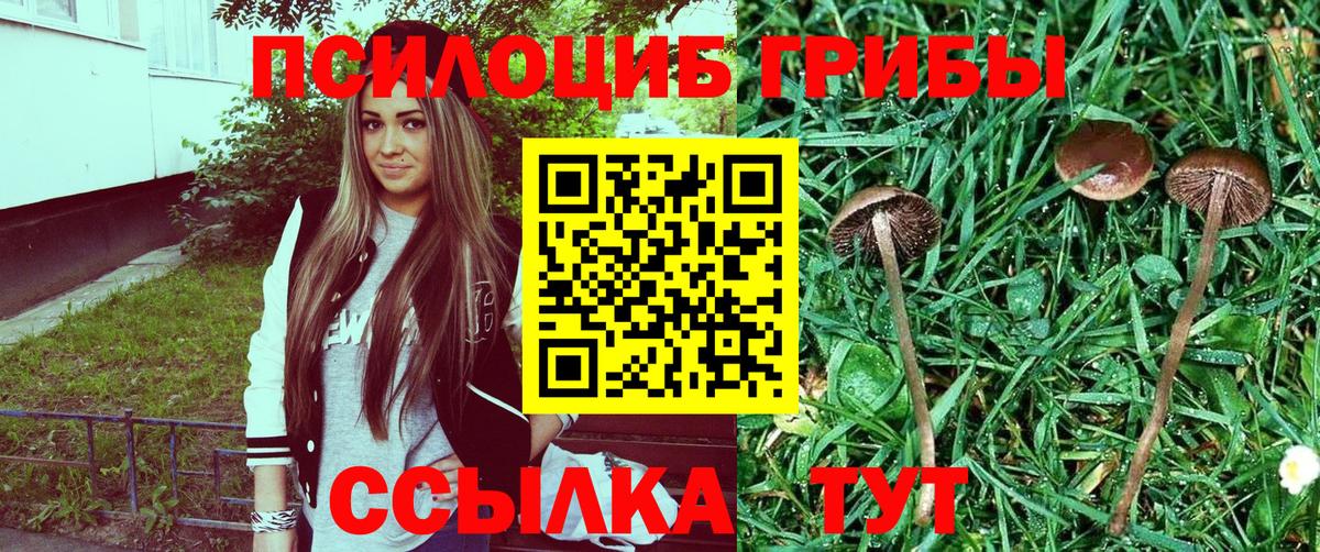 Галлюциногенные грибы Cubensis Узловая